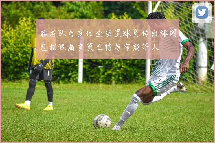 猛龙队与多位全明星球员传出绯闻包括浓眉贾莫兰特与布朗等人